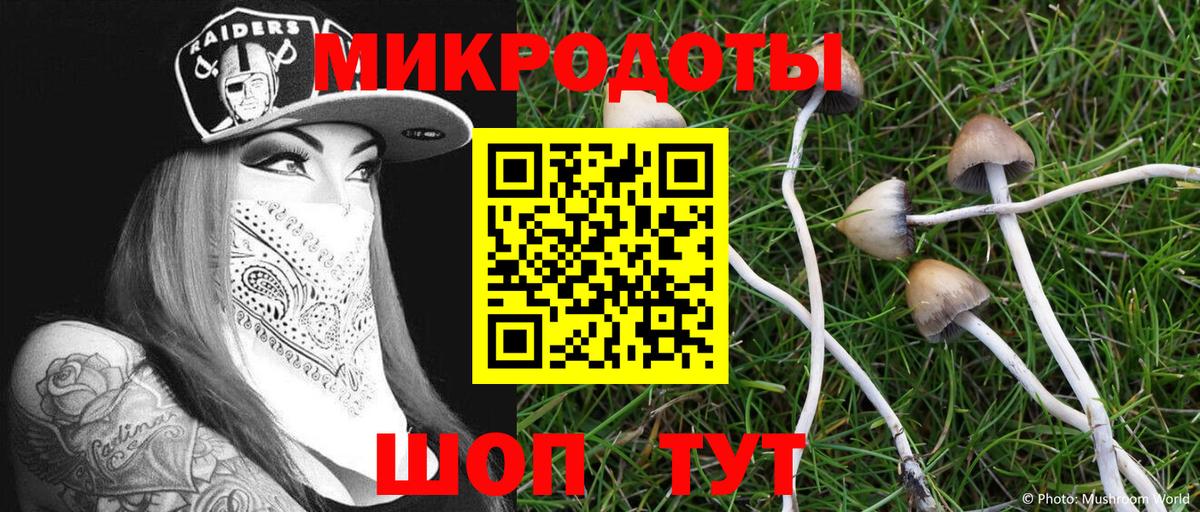 Галлюциногенные грибы прущие грибы  Псилоцибиновые грибы Psilocybe  Вход с VPN  Лыткарино 